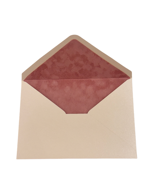 Blush Pink Velvet-Lined Envelope & Matching Card