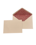Blush Pink Velvet-Lined Envelope & Matching Card