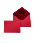 Rose Red Velvet-Lined Envelope & Matching Card